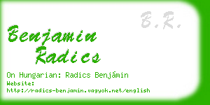 benjamin radics business card