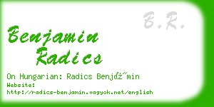 benjamin radics business card